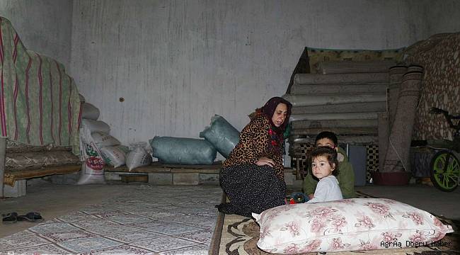 Trafoda yaşam mücadelesi veriyor