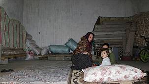 Trafoda yaşam mücadelesi veriyor