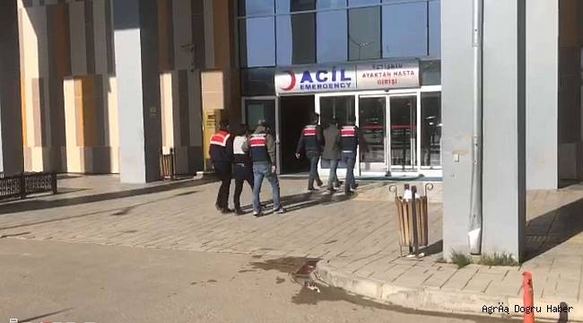 2 PKK mensubu yakalandı