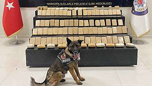 51 kilo Eroin ele geçirildi 