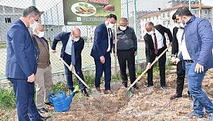 Batman'da okul bahçelerine fıstık ağaçları dikildi 