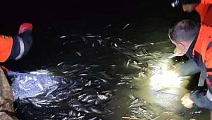 Kaçak olarak avlanan 15 ton İnci Kefali tekrar suya bırakıldı