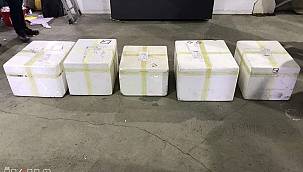 Kargo aracında 40 kilogram eroin çıktı 