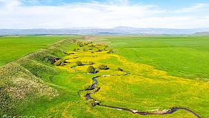  Ağrı'da büyüleyici bir doğal güzellik daha 