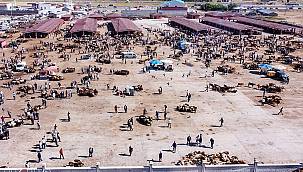 Ağrı Müftüsü; Kurban alırken dikkat edilmesi gereken hususları anlattı 