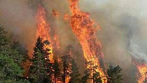 20 noktada orman yangınları devam ediyor 