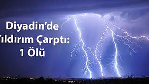 Tarlada çalışan gence yıldırım isabet etti