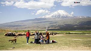 Ağrı Dağı'nın (Ararat) kültür tarihi açısından önemi