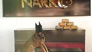 Ağrı'da bir araçta yaklaşık 7 kilogram uyuşturucu madde ele geçirildi