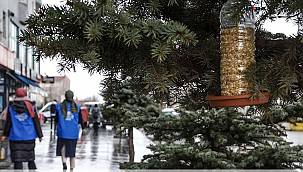 Kuşlar için sıfır atıktan yaptıkları yemlikleri ağaçlara astılar 