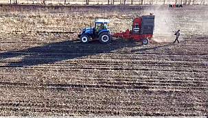 Tarladan sofraya şeker pancarının serüveni 
