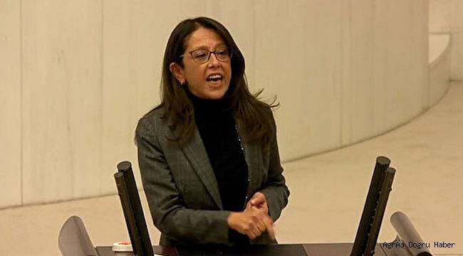 HDP'li Oya Ersoy haddini aştı, İslam'a hakaret etti