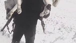 Ağrı’da kaçak avcılara ceza yağdı