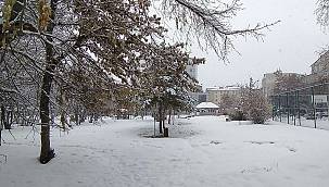 Ağrı'da kar yağışı ekili oldu, onlarca köy yolu ulaşıma kapandı 