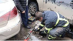 Ağrı'da kedi sıkıştığı yerden kurtarıldı