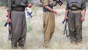 2 PKKyîyên ku amadehî dikirin li 2 bajarên mezin çalakîyê bikin hatin girtin 