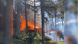 Ahşap evde çıkan yangın çevredeki 5 eve sıçradı
