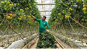 Çalışırken zorlanmalarına rağmen oruçlarını tutuyorlar