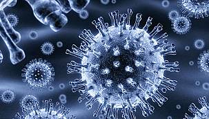 Li Tirkîyê di 24 seatên dawî de 18 kes mirin 