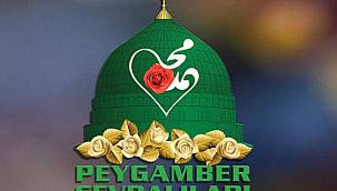 Peygamber Sevdalıları Vakfı'ndan Mevlid etkinliği