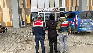 Van’da bu yılın ilk dört ayında jandarma tarafından 747 operasyon yapıldı