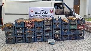 Elazığ`da 3 kaçak balıkçıya 22 bin TL ceza kesildi