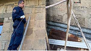 itfaiye ekipleri eve giren yılanı çıkardı 
