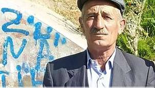 Kestiği ağaç kafasına isabet eden vatandaş vefat etti