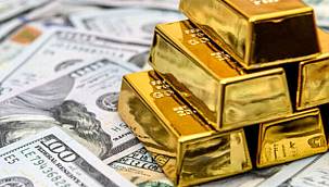 TÜİK, en çok kazandıran ve kaybettiren yatırım araçlarını açıkladı