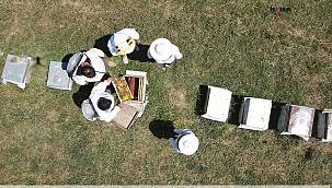 Ağrı'da bu yılki bal hasadındaki artış arıcıları sevindirdi