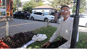 80 yaşındaki Ahmet Aşan bahçesinde yetiştirdiği ürünleri yol kenarlarında satıyor