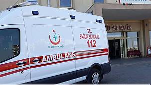 Bîçer û mînîbus li hev qelibîn: 12 birîndar