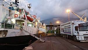 Gaziantep’ten canlı hayvan ihracatı başladı