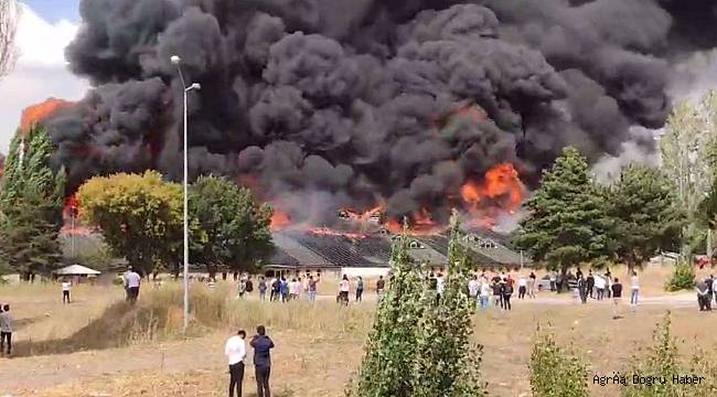 Li Zanîngeha Ataturkê şewat