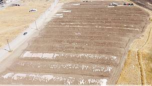 TMO siloları doldu, mahsuller kiralanan arazide depolanıyor 