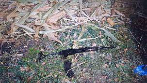 3 PKK elemanı Hakkari'de yakalandı