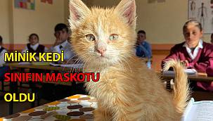 Diyadin ilçesine bağlı köy okulundaki öğrencilerin yeni maskotu