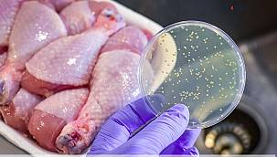 Gıda zehirlemelerine karşı uzmanlardan önemli uyarılar 