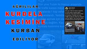 Ağrı halkı trafik kazası geçiriyor, yetkililerden çıt yok