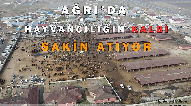 Ağrı hayvan pazarlarındaki hareketlilik giderek azalıyor