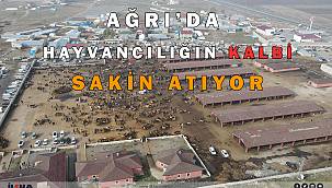 Ağrı hayvan pazarlarındaki hareketlilik giderek azalıyor 