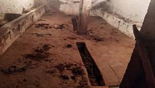 Ağrı'daki hırsızlık aileyi mağdur etti