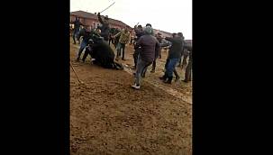 Ağrı hayvan pazarında çıkan kavgada 4 kişi yaralandı 