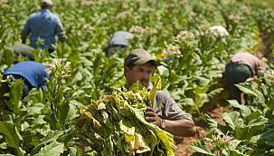 Tütün ve alkol piyasasında düzenleme yapıldı: cezalar artırıldı