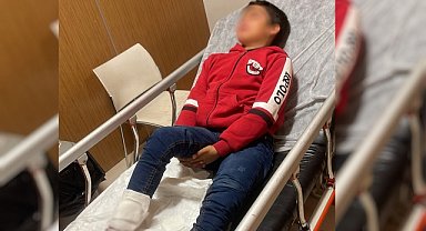 Başıboş sokak köpeği 12 yaşındaki çocuğu ağır yaraladı