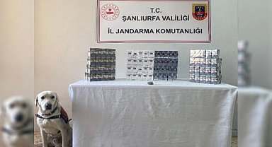 Şanlıurfa'da şok yol araması: 15 gözaltı