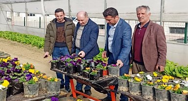 Sera ve tarım alanları oluşturuluyor