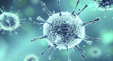 Uzmanlar uyarıyor: salgın hastalıklara dikkat!