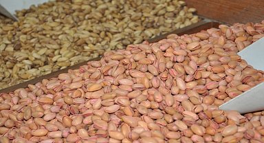 Fıstık artık gramla alınıyor!