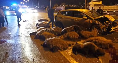 5 kişinin yaralandığı kazada en az 40 koyun telef oldu 